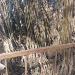 IMG-20160304-WA0006