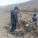 IMG-20160324-WA0001