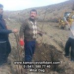 IMG-20160324-WA0004
