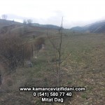IMG-20160327-WA0009