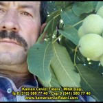 fernor fernette chandler kaman ceviz fidani satis adres telefon bilgi hangisi iyi don olayi hastalik iri ceviz yaprak asi kalemi kis yaz sonbahar ilkbahar ankara kecioren  (2)