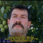 fernor fernette chandler kaman ceviz fidani satis adres telefon bilgi hangisi iyi don olayi hastalik iri ceviz yaprak asi kalemi kis yaz sonbahar ilkbahar ankara kecioren  (28)
