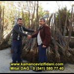 aşılı kaman cevizi fidani satan firma adres telefon ankara chandler fernor fernette bilecik (10)