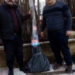 11911dae-e37d-4096-9da0-74c6e13e10dc