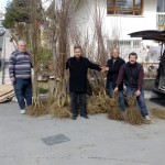 20c5e3ba-3bf2-4a83-ac4c-be8b4531c88c