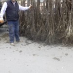 485988b1-7ed5-4a15-a17f-dd5c001c65d2