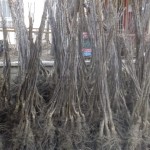 49dc4118-f1b1-45db-a025-377e57f91055