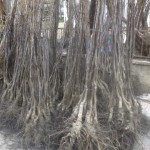 4c36043b-f9ea-4023-8fb0-17431bbc7b28