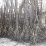 57a854b3-a5e9-42fa-b346-64a193c82735