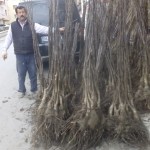 66c3503a-9f26-4d56-b336-e2c52cf6231f