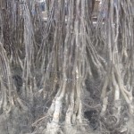 6948527a-0940-4cde-a435-533e268101f7