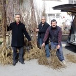 999f16fd-e029-4569-b631-9291fb721ede