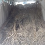 f38b7a86-c6ce-48ca-9545-e4461f901e6f